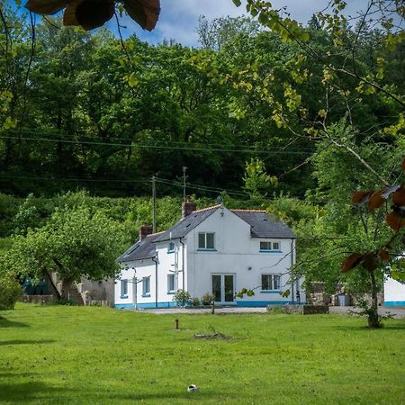 Tucking Mill - 3 Bedroom Holiday Home - Stepaside Stepaside  Extérieur photo